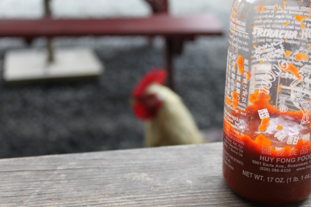 Rooster and Rooster Sauce