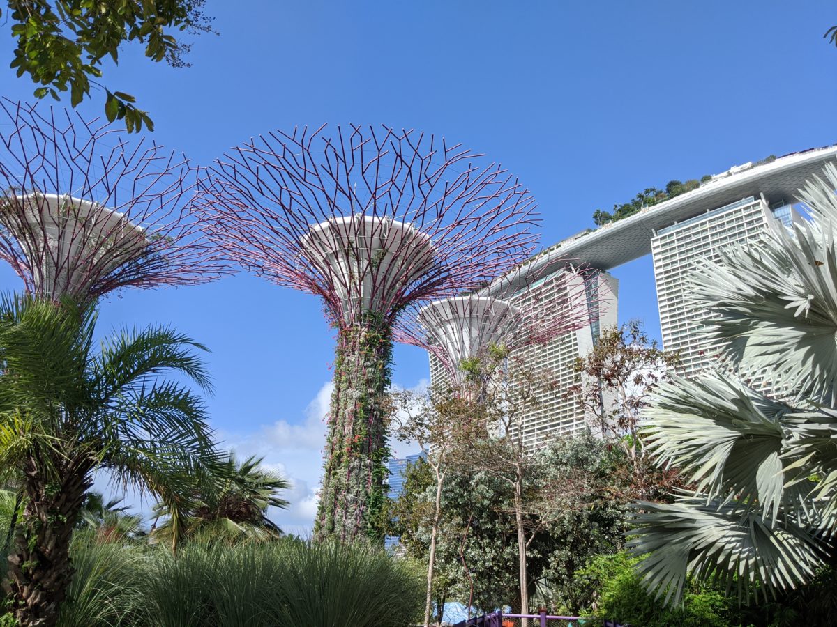 Seeing the sights in Singapore